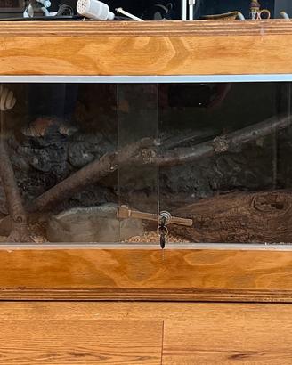 Terrario per rettili