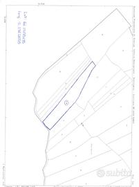 TER. AGRICOLO A REVINE LAGO