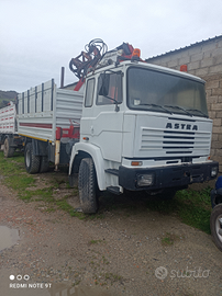 Camion con gru forestale patente b