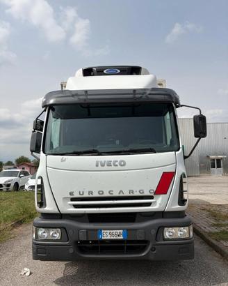IVECO CON CELLA FRIGO