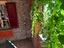 Immagine 25