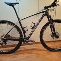 Specialized mtb
