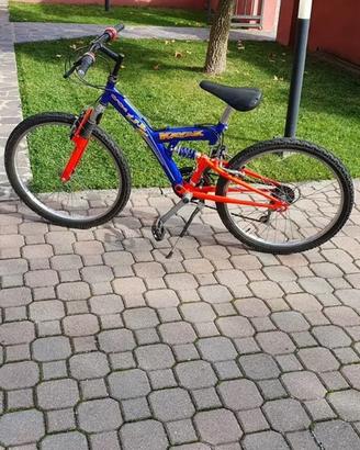 Bicicletta
