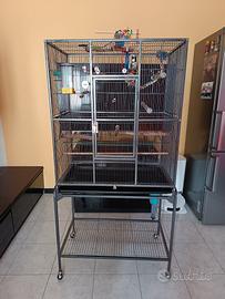 Gabbia per pappagalli 