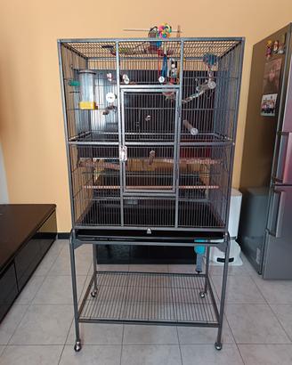 Gabbia per pappagalli 