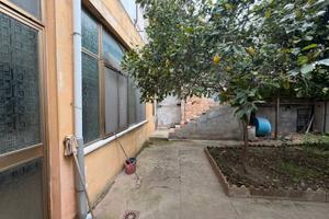 Indipendente con cortile