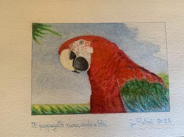 Il pappagallo rosso, verde e blu