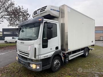 Iveco eurocargo 120e25 - frigo trasporto carne