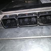 Centralina motore CITROEN C2 12 del 2004