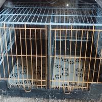 trasportino per cani 