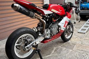 Minigp virale 12 pollici
