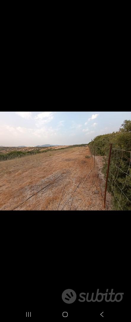 Terreno agricolo recintato Maracalagonis. - Vista 4