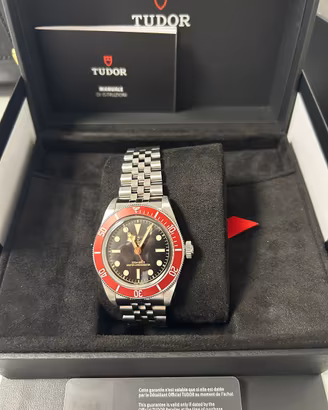Tudor black bay
