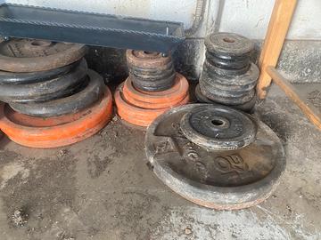 Dischi Palestra