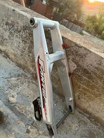 Ricambi Fantic 