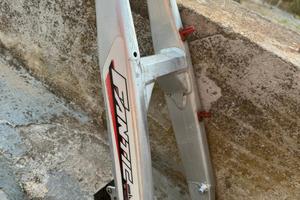 Ricambi Fantic 
