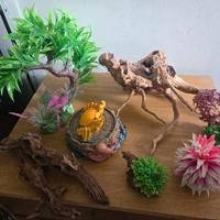 set decorazioni acquario