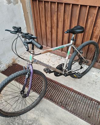 Mountain bike 