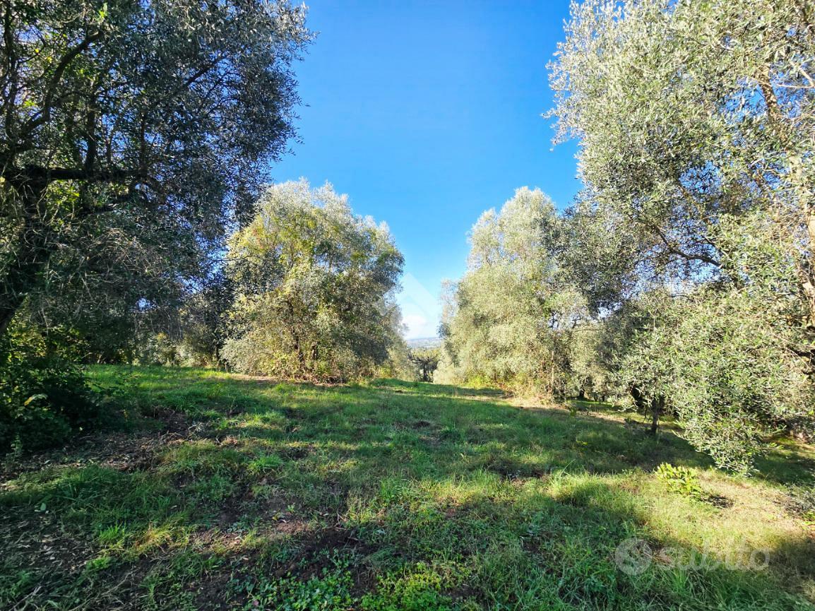 TER. AGRICOLO A FIANO ROMANO - Vista 6
