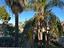Immagine 25