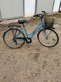 Bicicletta azzurra daytona