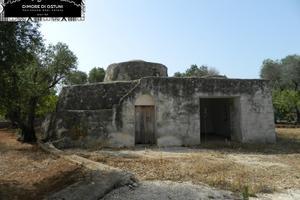 LA LAMIA DELLE NICCHIE con TERRENO 8200mq