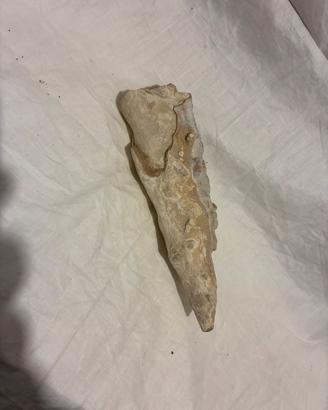 Roccia calcarea minerale