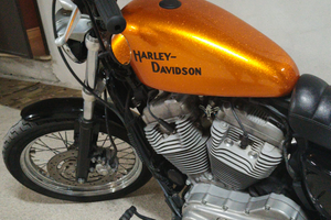 Harley Davidson 883
