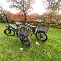 Bicicletta elettrica