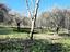 Immagine 21