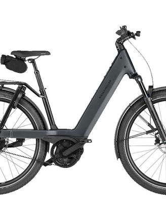 Ebike Riese & Muller Nuova