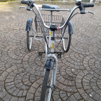 Bicicletta a tre ruote