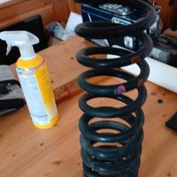 MOLLE POSTERIORI FORD