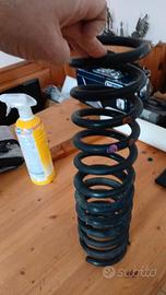 MOLLE POSTERIORI FORD