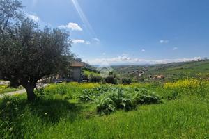 TER. RESIDENZIALE A NOTARESCO