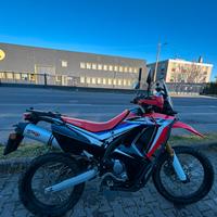 HONDA CRF 250 RALLY