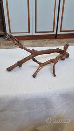 coppia tronchi acquario