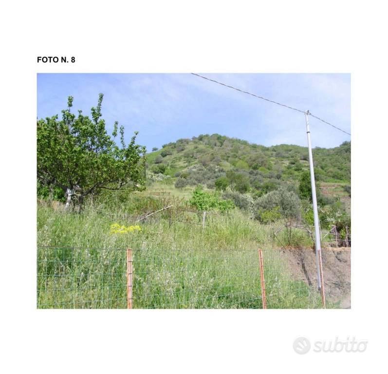 Immobile in asta di 100640 m² a Alì - Vista 3