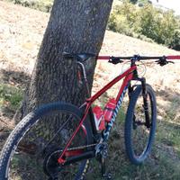 S WORK 29 SPECIALIZED