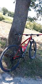 S WORK 29 SPECIALIZED