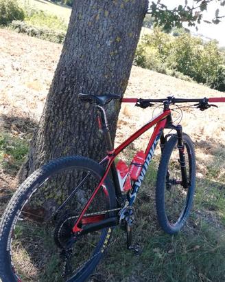 S WORK 29 SPECIALIZED