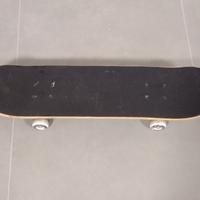 Skateboard roces