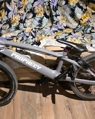 bmx race pro xl