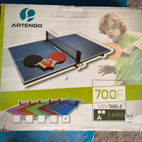 Tavolino portatile da ping pong