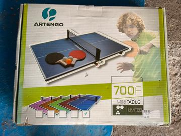 Tavolino portatile da ping pong