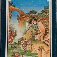 Carte da gioco Tarot Chinois