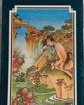 Carte da gioco Tarot Chinois