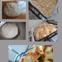 Aiuto pizzaiola/cameriera di bar