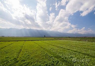 Terreno Agricolo a Pavullo nel Frignano