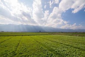 Terreno Agricolo a Pavullo nel Frignano